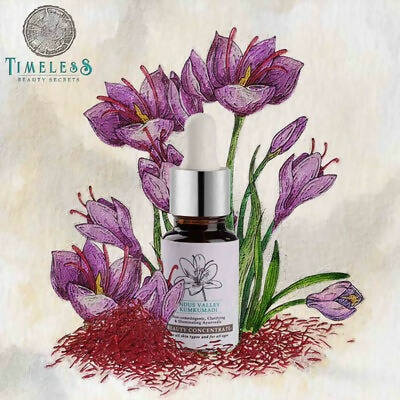 https://cdn.shopify.com/s/files/1/1857/6931/products/MsAbOO5nxK.jpg?v=1709555421