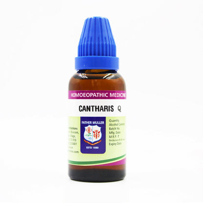 https://cdn.shopify.com/s/files/1/1857/6931/files/MtTxVUxtta.jpg?v=1718348277