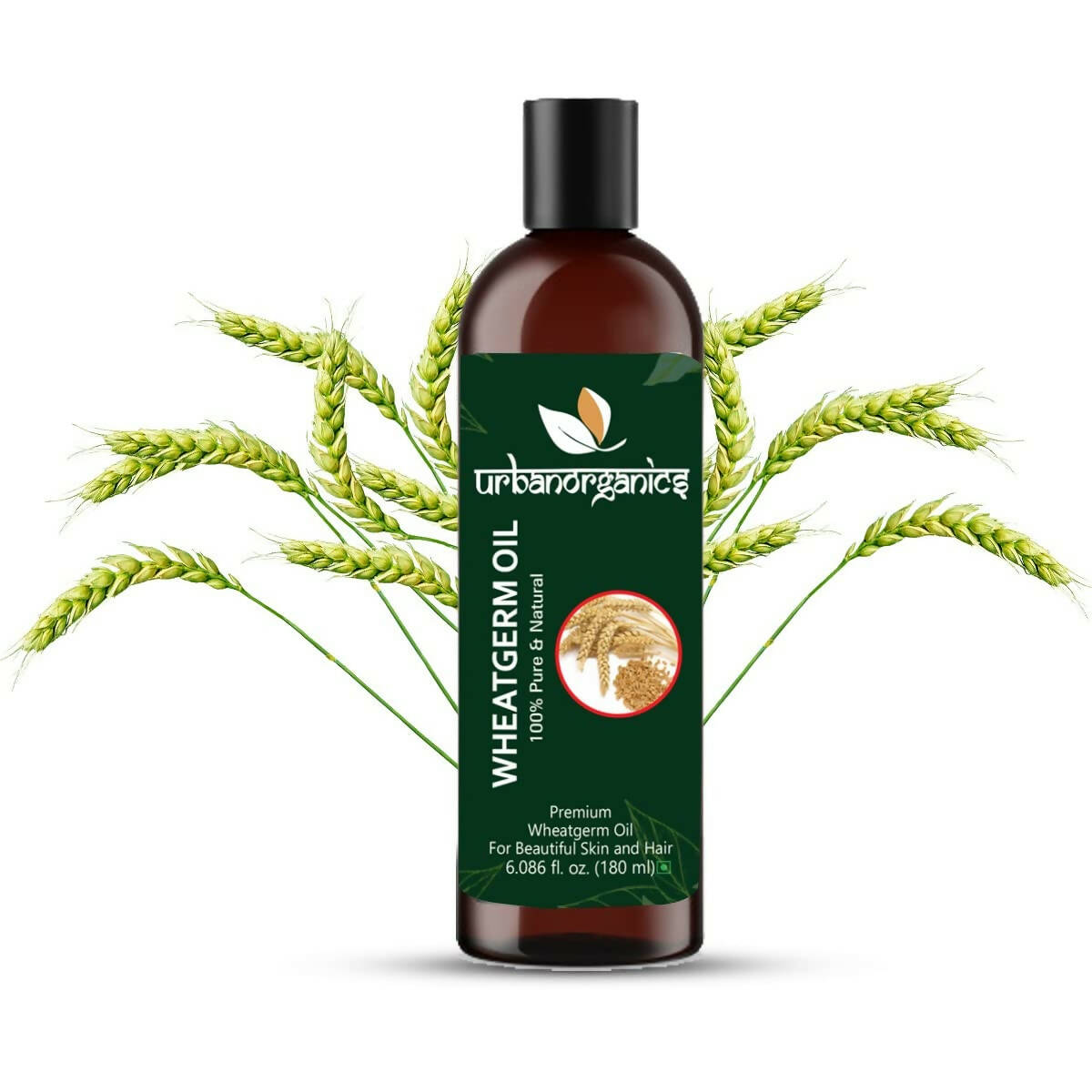 https://cdn.shopify.com/s/files/1/1857/6931/products/MvKjqg7IHA.jpg?v=1679404618