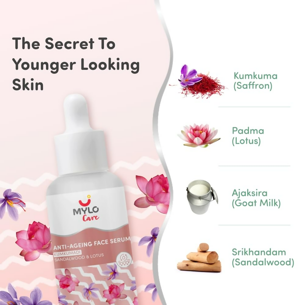https://cdn.shopify.com/s/files/1/1857/6931/files/MzmtjSe6ys.png?v=1737722321