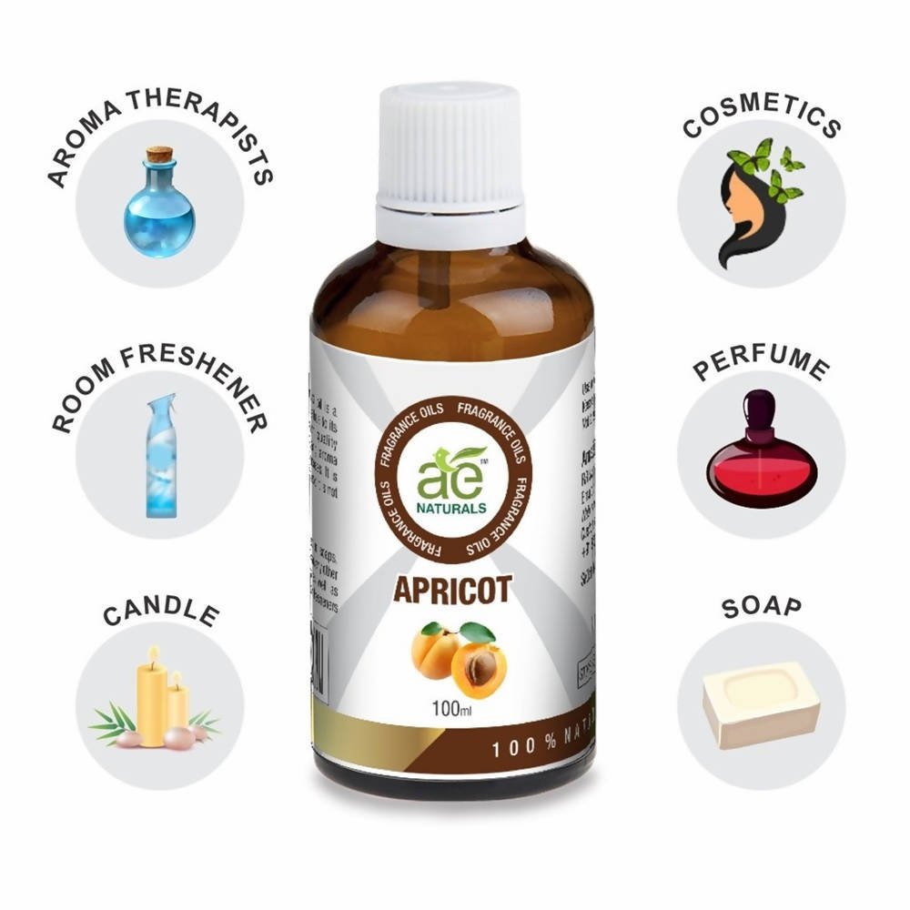 https://cdn.shopify.com/s/files/1/1857/6931/files/N172U3XgLZ-570693.jpg?v=1736143743