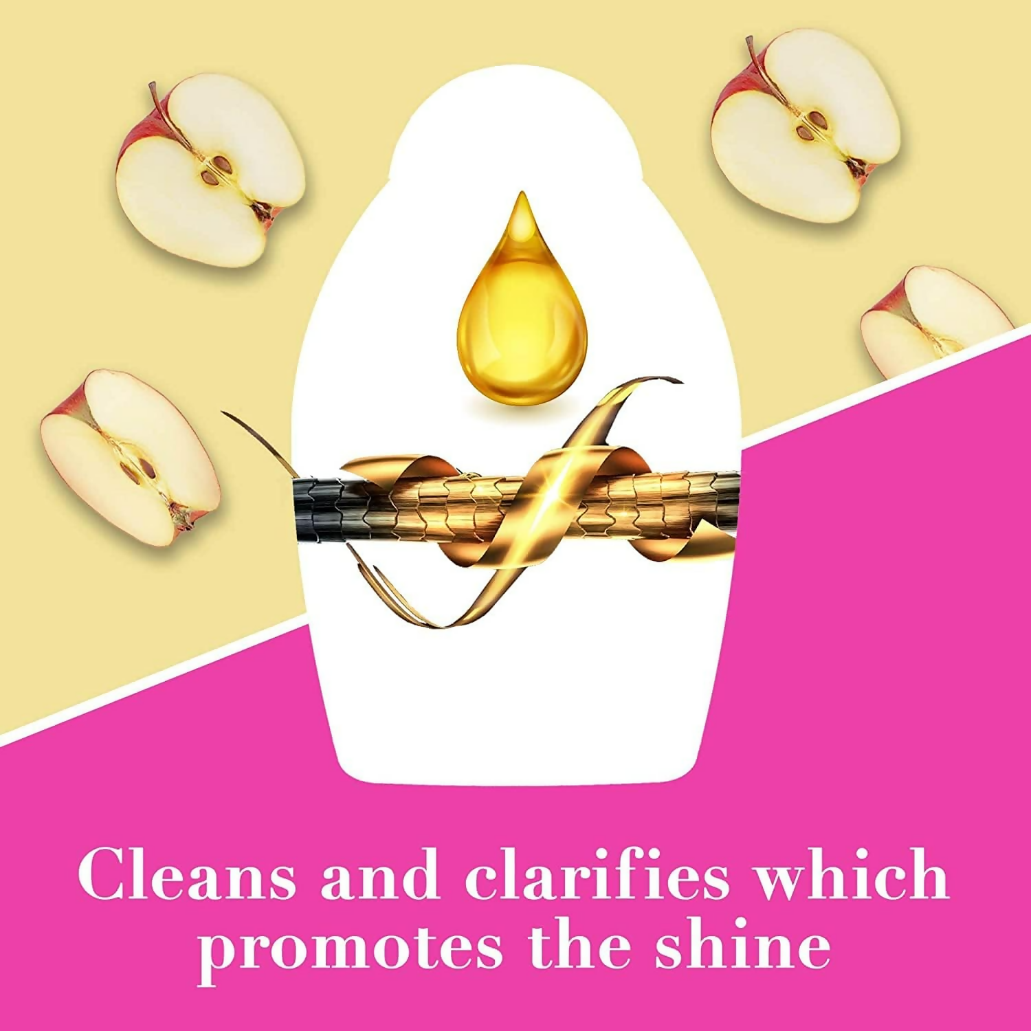https://cdn.shopify.com/s/files/1/1857/6931/files/N87jg6txLX.png?v=1738058762