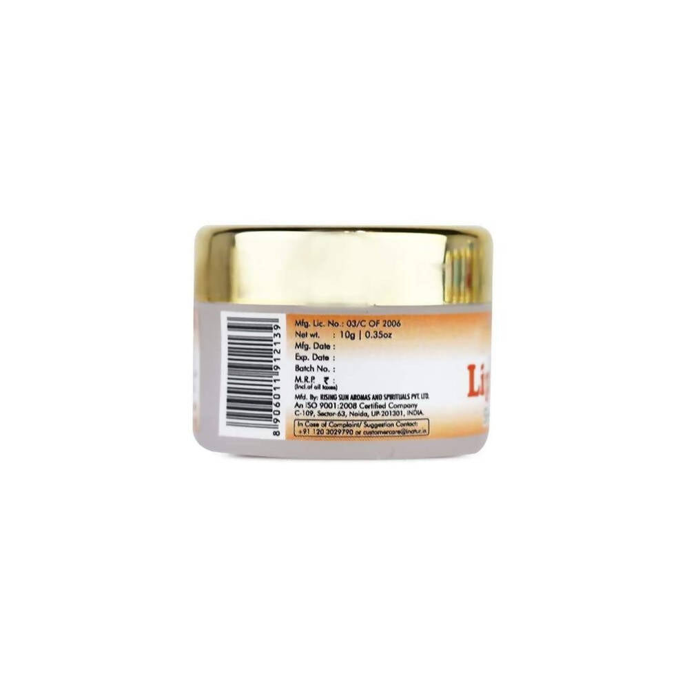 https://cdn.shopify.com/s/files/1/1857/6931/products/NBI0lqekoF.jpg?v=1638359808