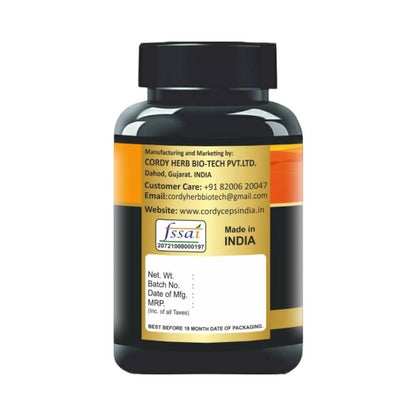https://cdn.shopify.com/s/files/1/1857/6931/products/NETCYOI2ZL.jpg?v=1706530326