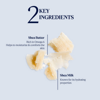 https://cdn.shopify.com/s/files/1/1857/6931/files/NEfzewm52E.png?v=1727182259