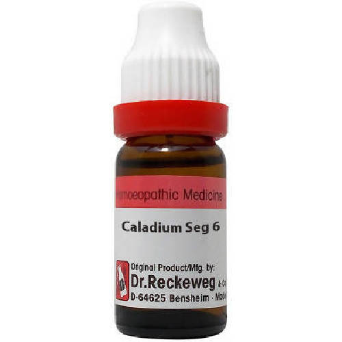 https://cdn.shopify.com/s/files/1/1857/6931/products/NGDJPkpkex.jpg?v=1633660460