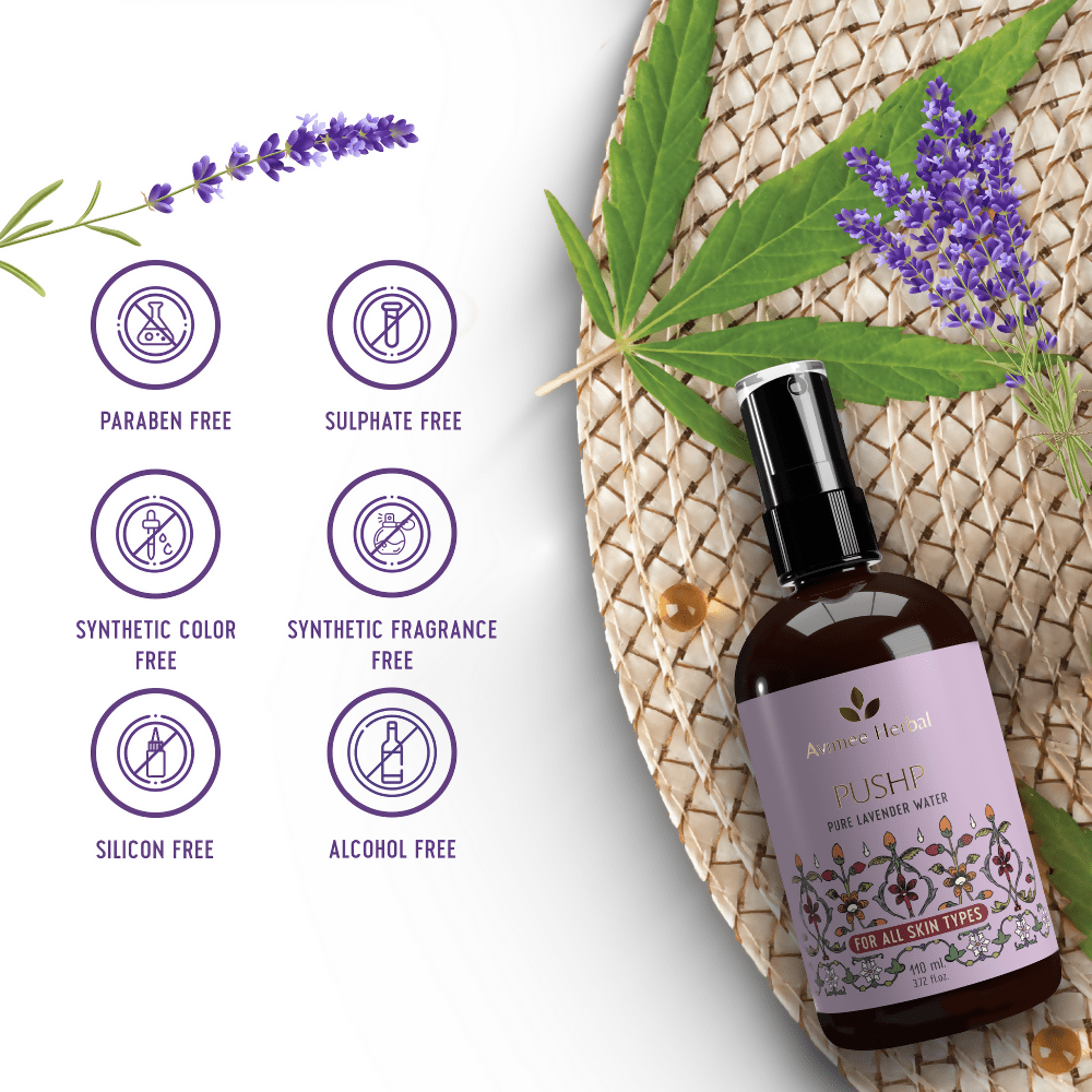 https://cdn.shopify.com/s/files/1/1857/6931/files/NHuxVUg5P1-252081.png?v=1736150411