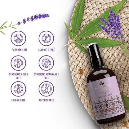https://cdn.shopify.com/s/files/1/1857/6931/files/NHuxVUg5P1-252081.png?v=1736150411
