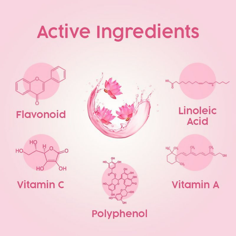 https://cdn.shopify.com/s/files/1/1857/6931/files/NLNip5VZGY.png?v=1725973721