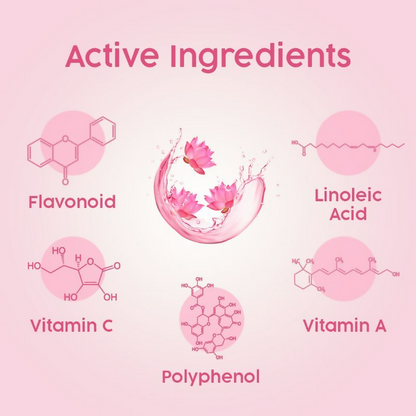 https://cdn.shopify.com/s/files/1/1857/6931/files/NLNip5VZGY.png?v=1725973721