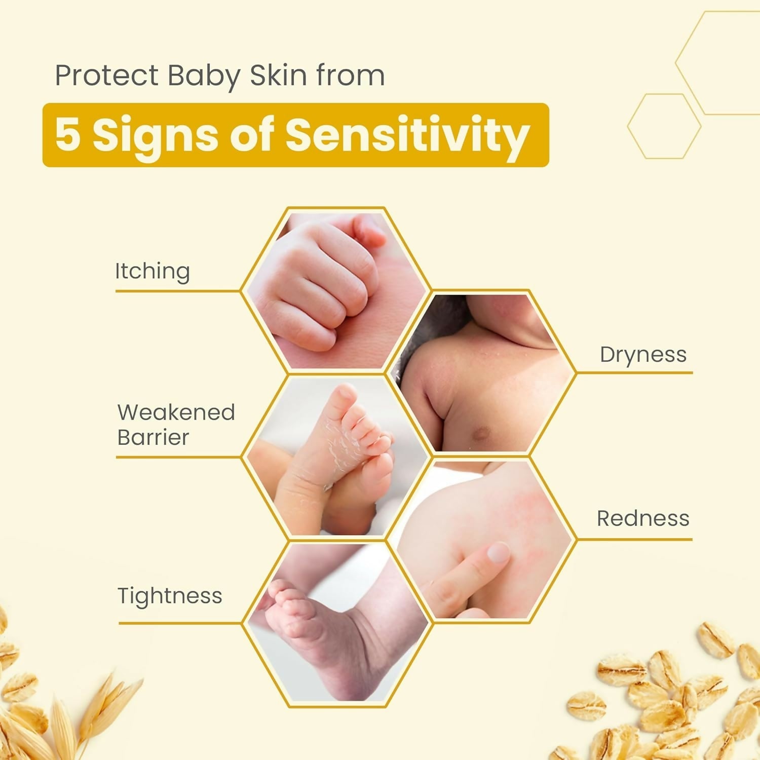https://cdn.shopify.com/s/files/1/1857/6931/files/NLrTP2jTG4.jpg?v=1728390365