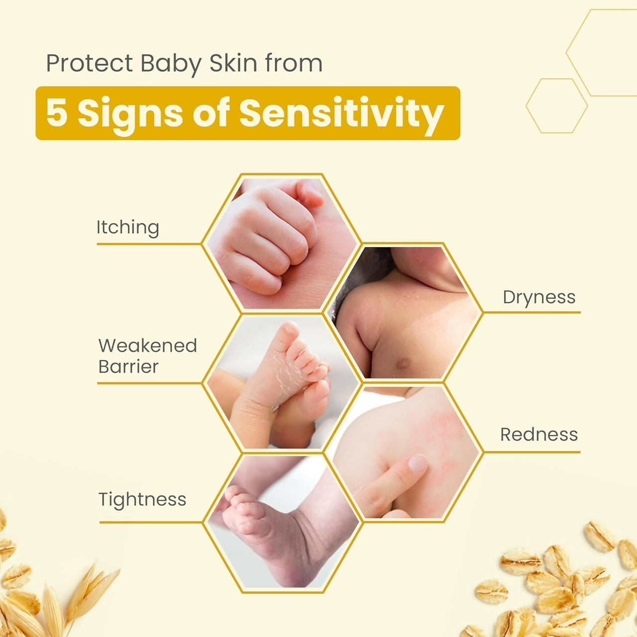 https://cdn.shopify.com/s/files/1/1857/6931/files/NLrTP2jTG4.jpg?v=1728390365