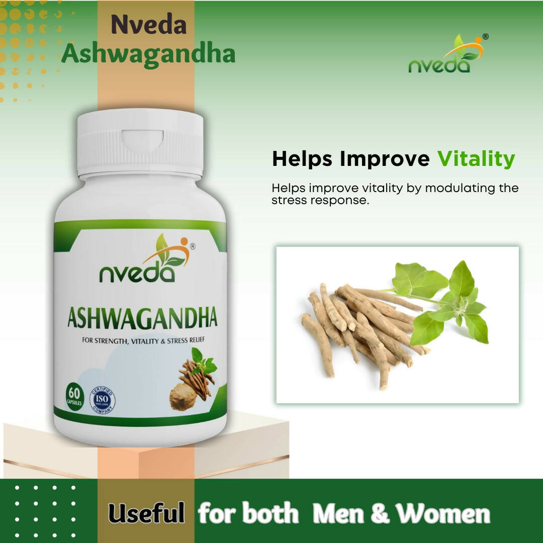 https://cdn.shopify.com/s/files/1/1857/6931/products/NMsNUA0fwI.jpg?v=1707474371