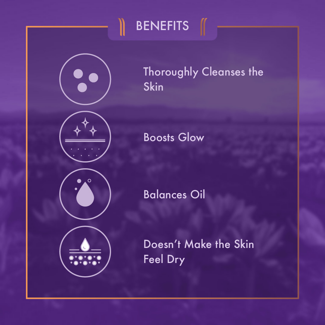 https://cdn.shopify.com/s/files/1/1857/6931/files/NNgKFHsNPV-669382.png?v=1736150940