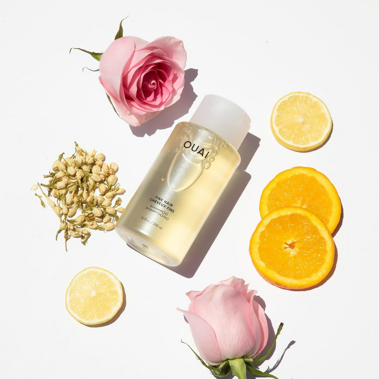 https://cdn.shopify.com/s/files/1/1857/6931/files/NNl7keJM0D.png?v=1737346420