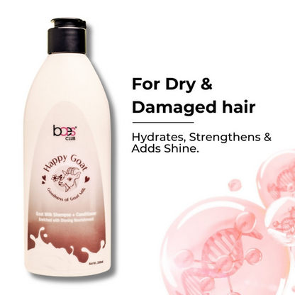 https://cdn.shopify.com/s/files/1/1857/6931/files/NUANQJR1N5.png?v=1731149198