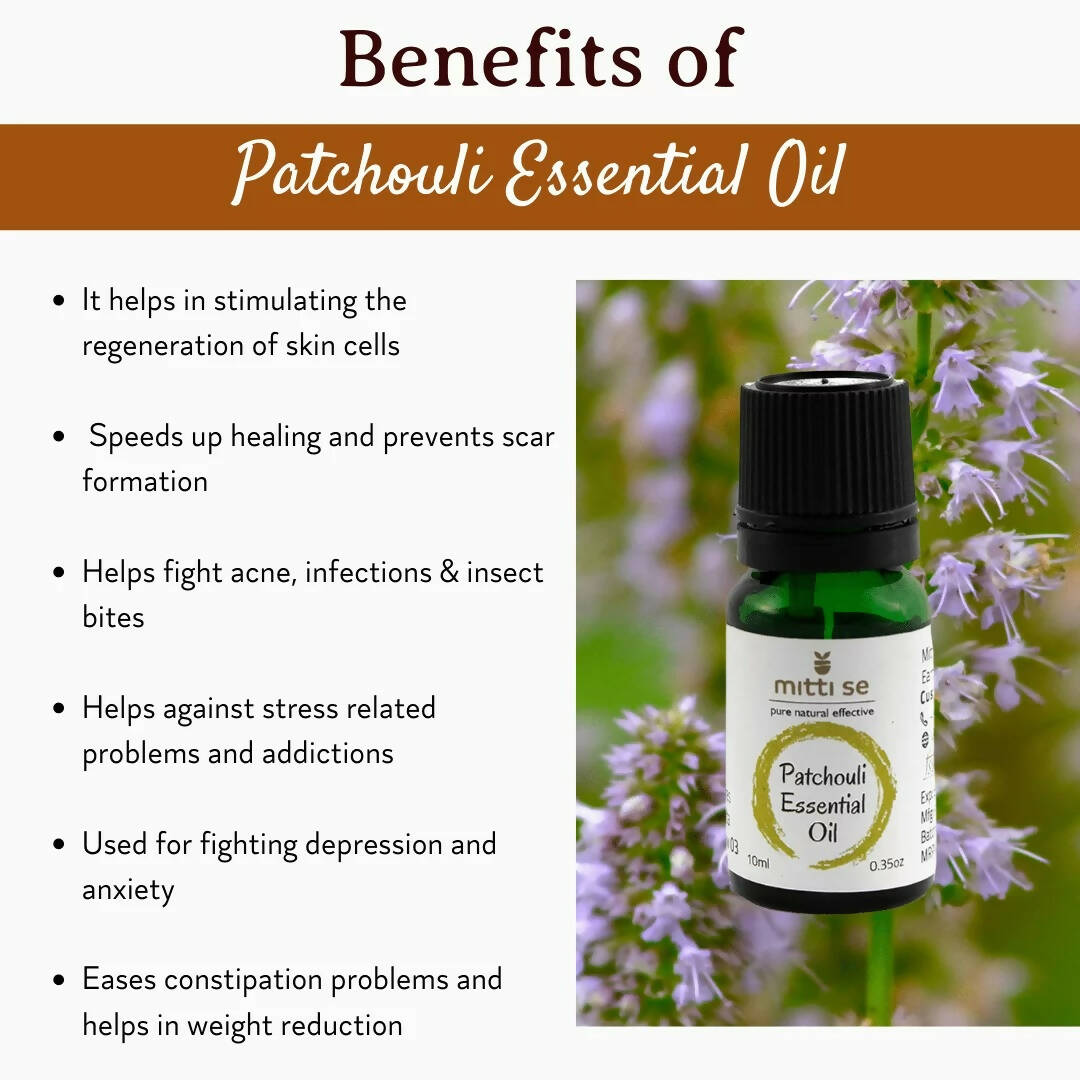 https://cdn.shopify.com/s/files/1/1857/6931/products/NUOPpKjVNp.jpg?v=1670583233