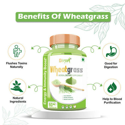 https://cdn.shopify.com/s/files/1/1857/6931/products/NVu41Sy17d.jpg?v=1672209899