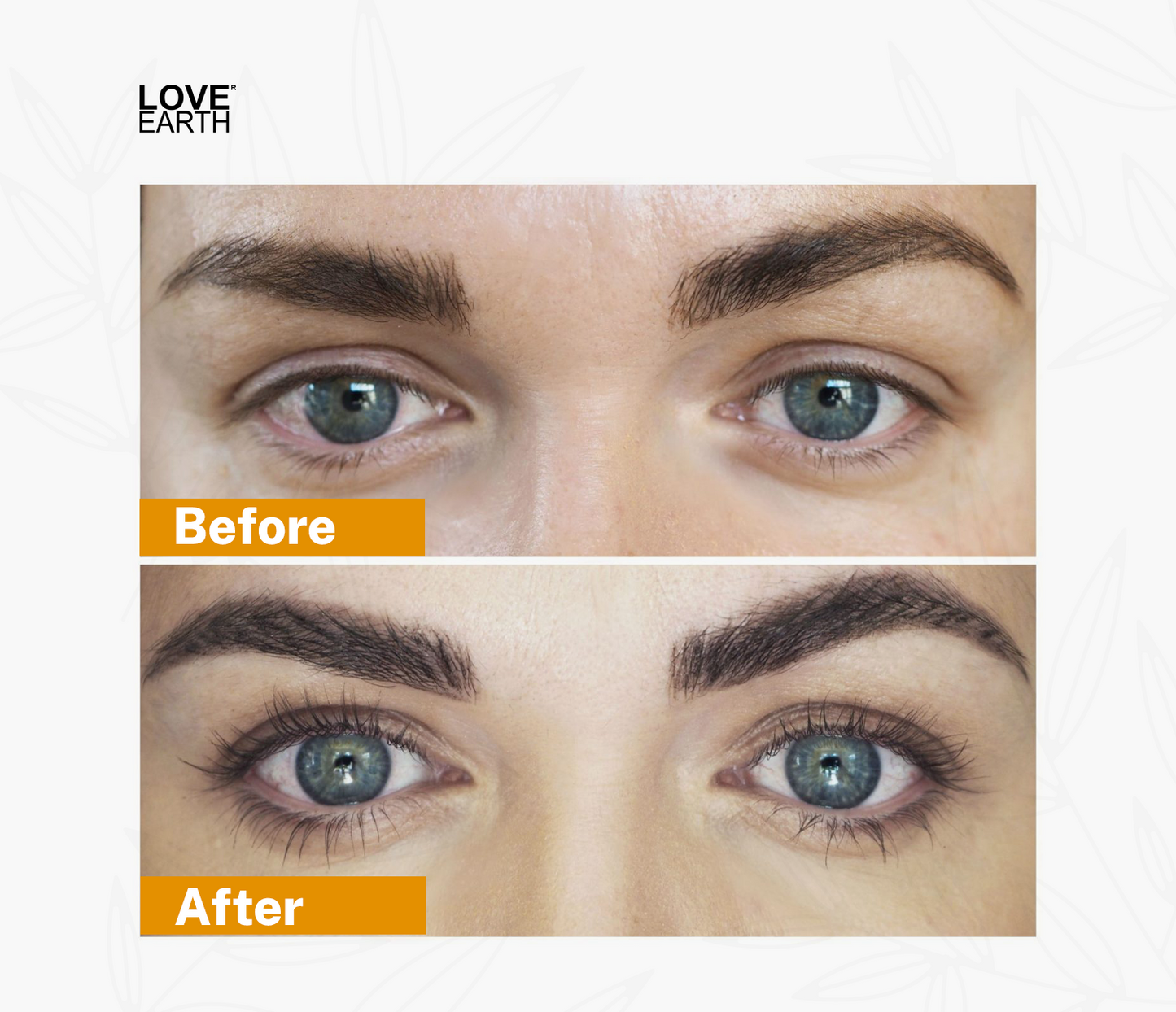 https://cdn.shopify.com/s/files/1/1857/6931/files/NYLRTH0000041_6.png?v=1786368449