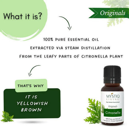 https://cdn.shopify.com/s/files/1/1857/6931/products/NcaSk7EcBI.jpg?v=1664430319