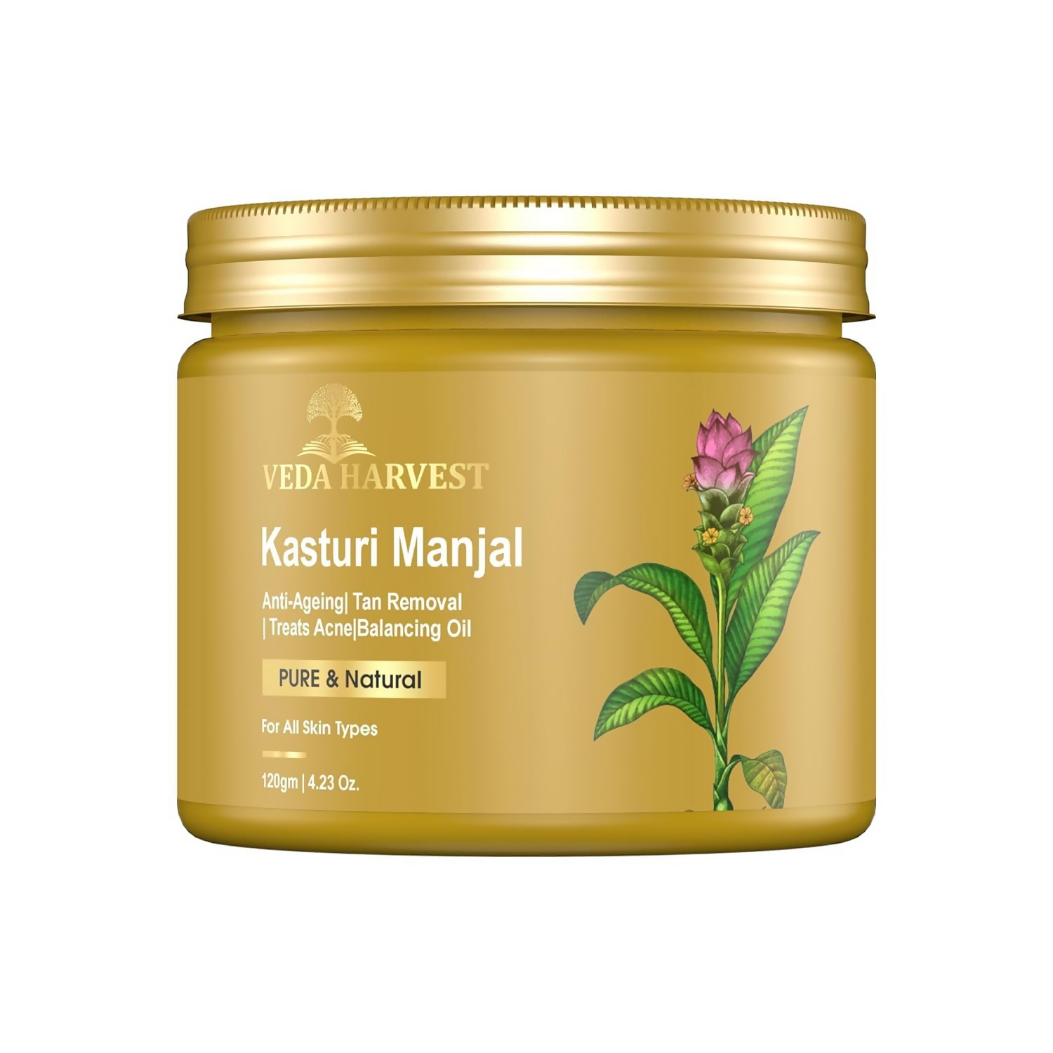 https://cdn.shopify.com/s/files/1/1857/6931/files/NcoeuA2dN0.png?v=1727091167