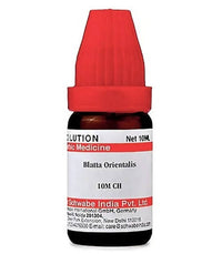 https://cdn.shopify.com/s/files/1/1857/6931/products/Ne2fkBKobC.jpg?v=1640863947