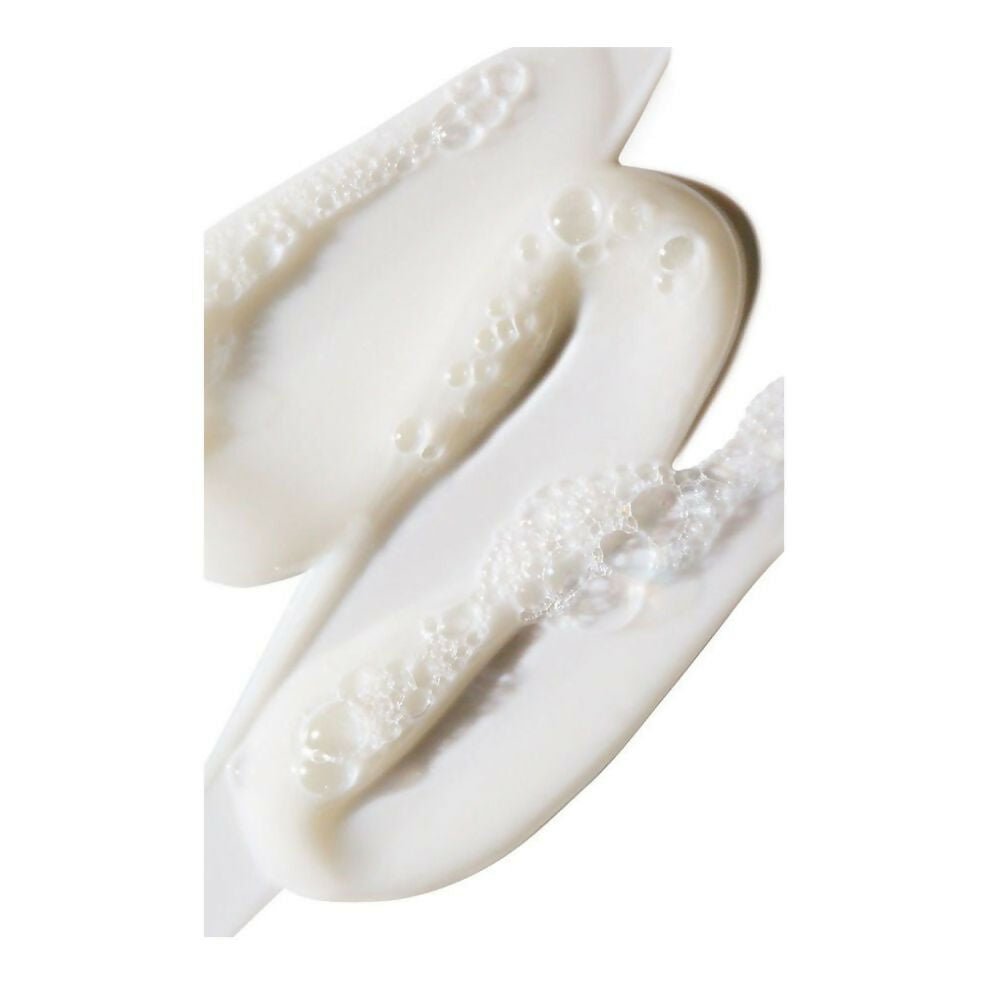 https://cdn.shopify.com/s/files/1/1857/6931/files/NeZjdlZk3t-606959.jpg?v=1736150298