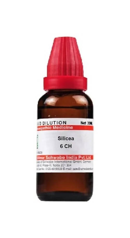 Image 1 of 6 CH / 30 ml for the product Dr. Willmar Schwabe India Silicea Dilution