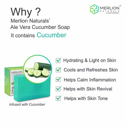https://cdn.shopify.com/s/files/1/1857/6931/files/NhrJ37hz80.jpg?v=1755000936