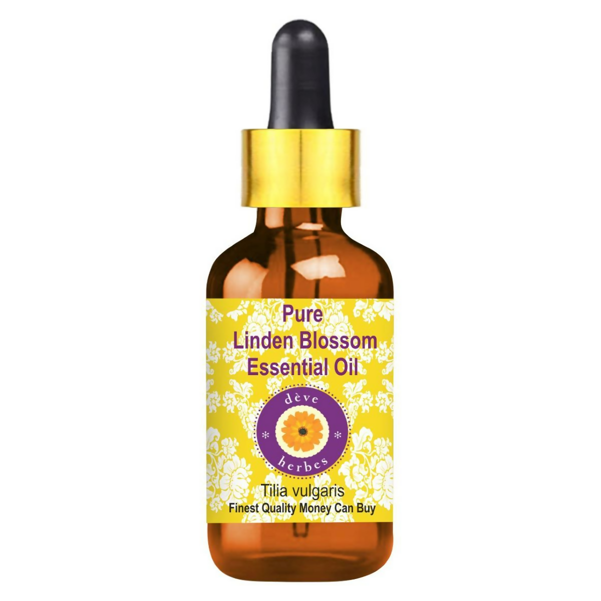 https://cdn.shopify.com/s/files/1/1857/6931/files/NiU9vlri7w.png?v=1745998484