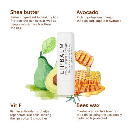 https://cdn.shopify.com/s/files/1/1857/6931/products/NicoBalm-05_232751b4-07b6-4cb0-a.jpg?v=1648710855