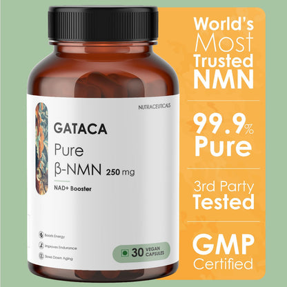 https://cdn.shopify.com/s/files/1/1857/6931/files/Nicotinamide_Mononucleotide_Supplement_Bottle_250mg.jpg?v=1761304752