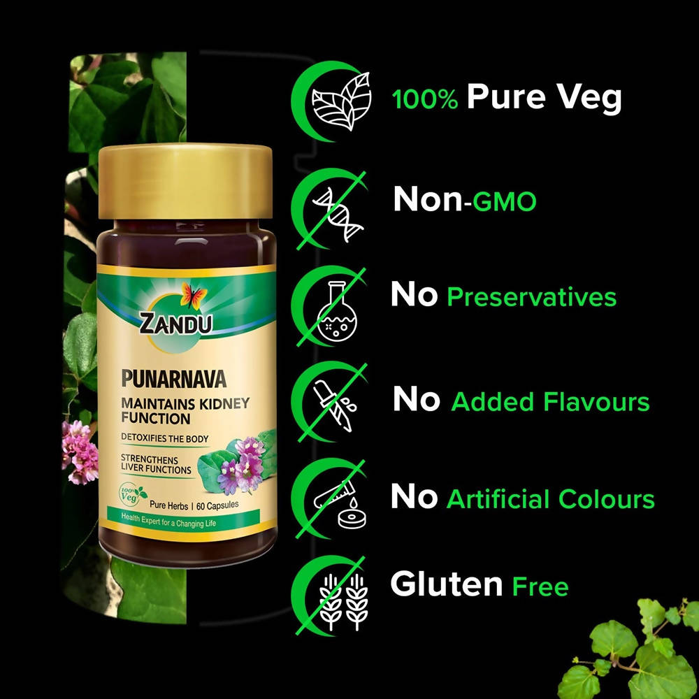 https://cdn.shopify.com/s/files/1/1857/6931/products/NjnGNCxbEA.jpg?v=1625192851