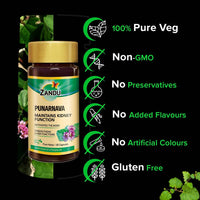https://cdn.shopify.com/s/files/1/1857/6931/products/NjnGNCxbEA.jpg?v=1625192851