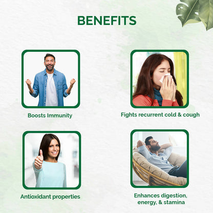 https://cdn.shopify.com/s/files/1/1857/6931/products/Nkm1cqvSI1.jpg?v=1670483009