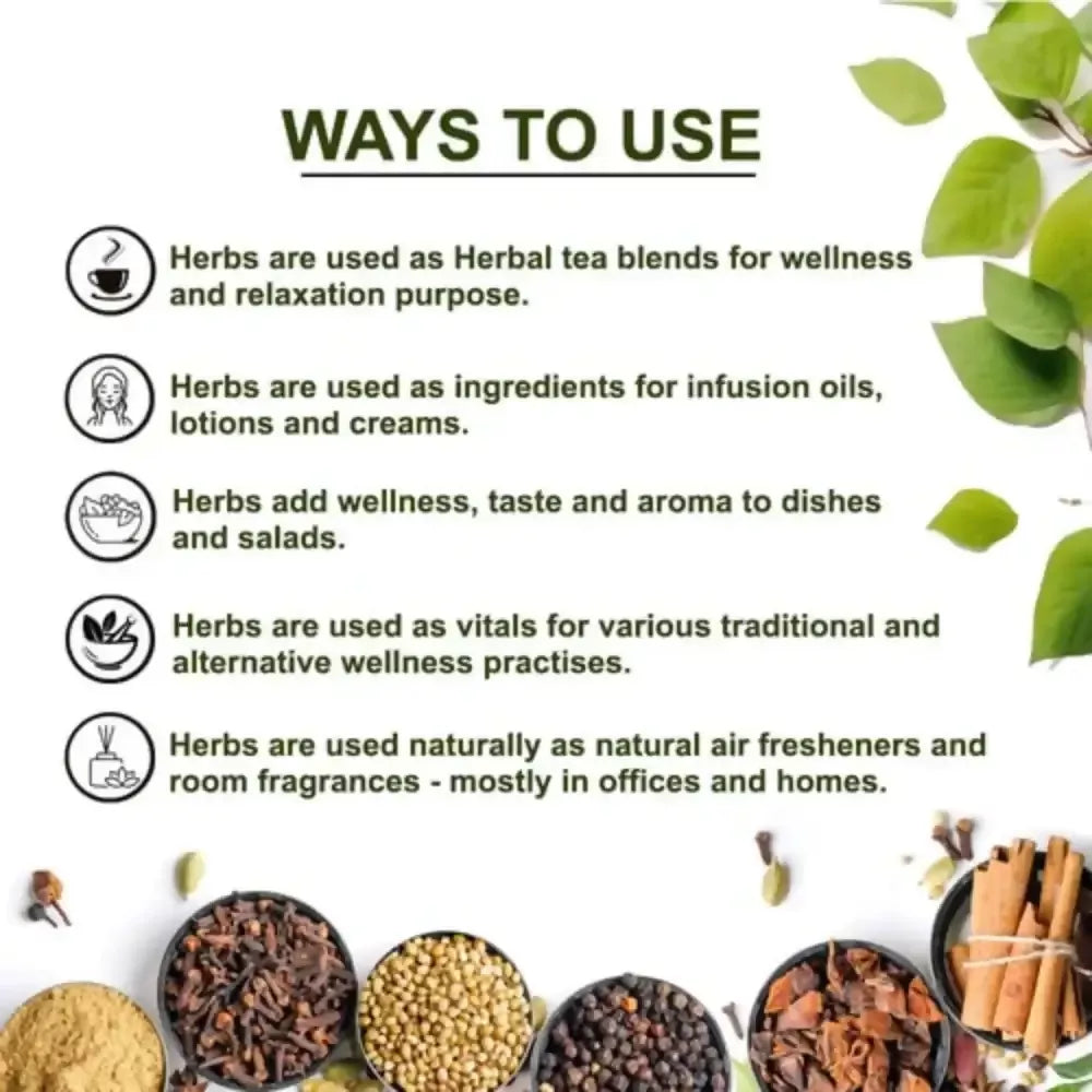 https://cdn.shopify.com/s/files/1/1857/6931/files/NmA8FXfrKj.webp?v=1718356922