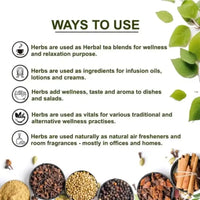 https://cdn.shopify.com/s/files/1/1857/6931/files/NmA8FXfrKj.webp?v=1718356922