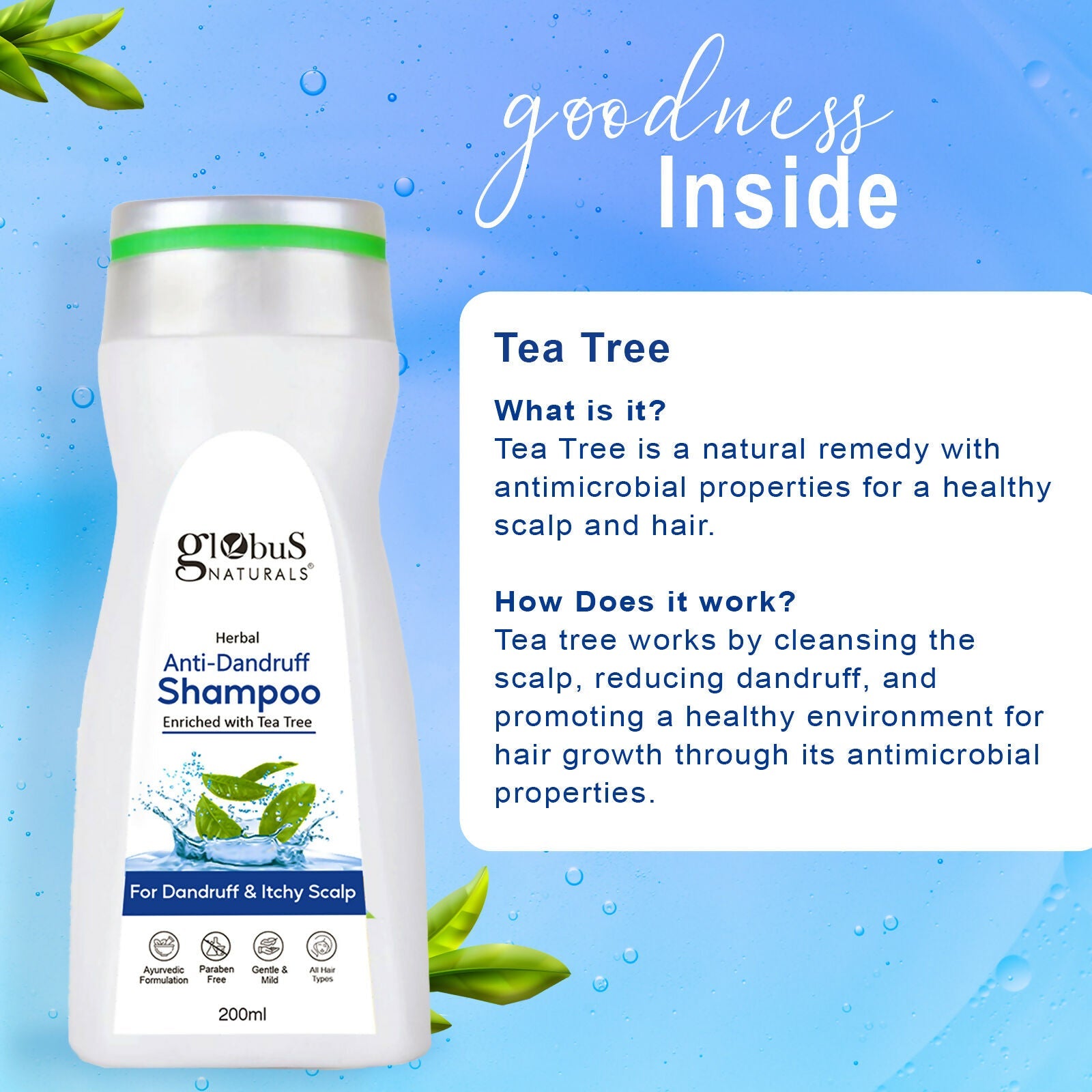 https://cdn.shopify.com/s/files/1/1857/6931/files/No5k4JjAOw.jpg?v=1758884949