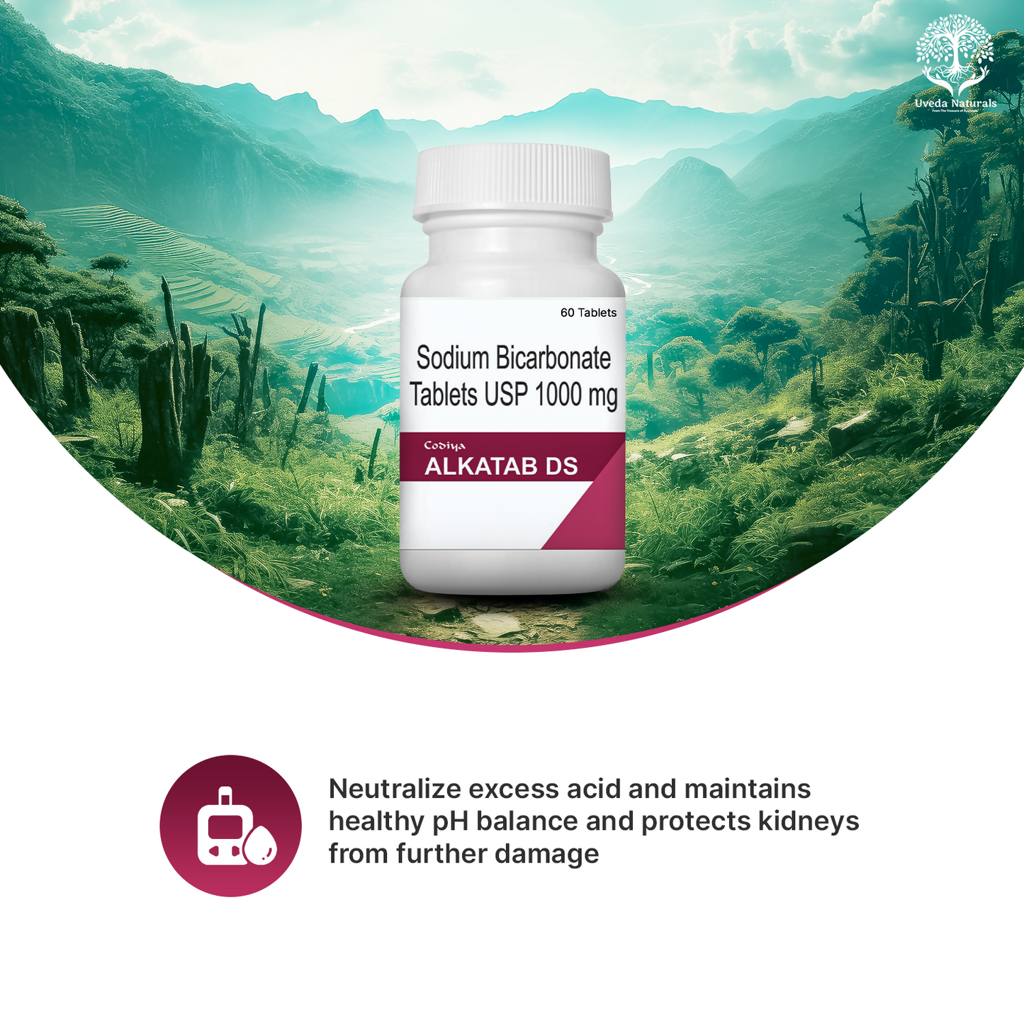 https://cdn.shopify.com/s/files/1/1857/6931/files/Ns8L9w9TXs.png?v=1750764526