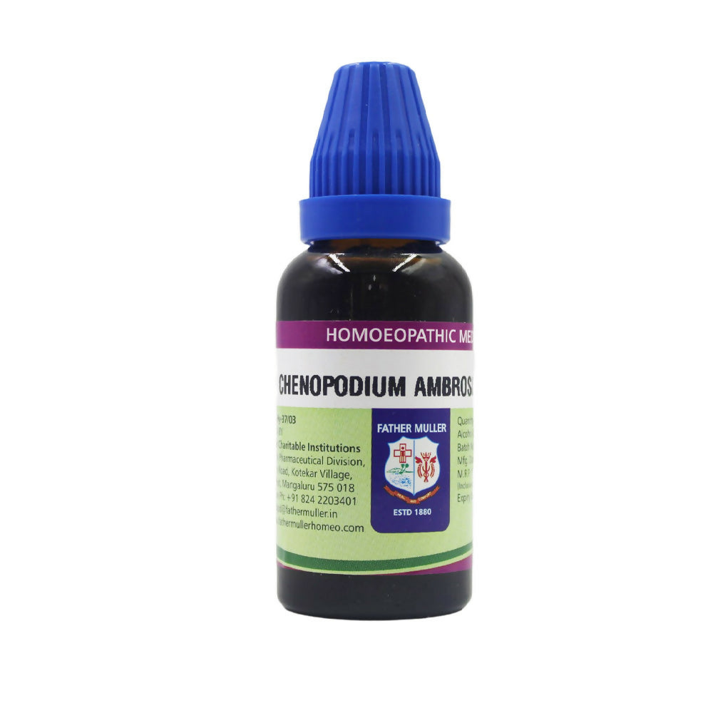 https://cdn.shopify.com/s/files/1/1857/6931/files/Ny84CkO1FL.jpg?v=1717417238