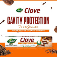 https://cdn.shopify.com/s/files/1/1857/6931/products/O0MgsBOB4d.jpg?v=1755083651