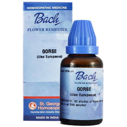 https://cdn.shopify.com/s/files/1/1857/6931/products/O97xWuvoFi.jpg?v=1762313650