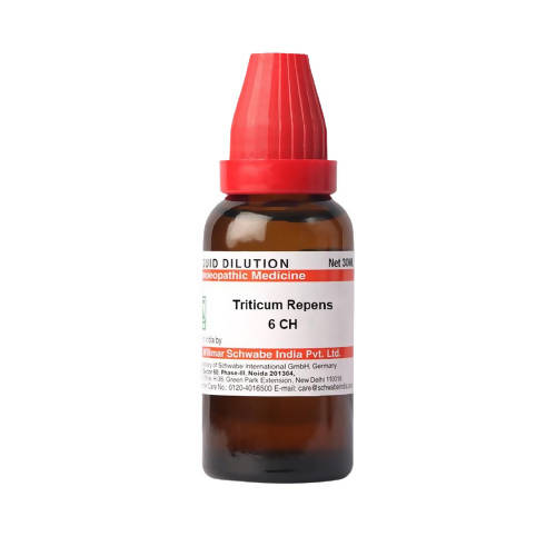 https://cdn.shopify.com/s/files/1/1857/6931/products/O9PrS2vtX8.jpg?v=1640860099