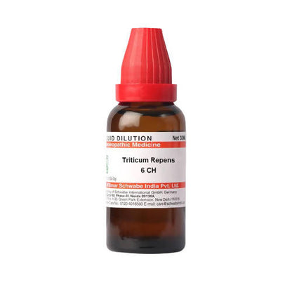 https://cdn.shopify.com/s/files/1/1857/6931/products/O9PrS2vtX8.jpg?v=1640860099