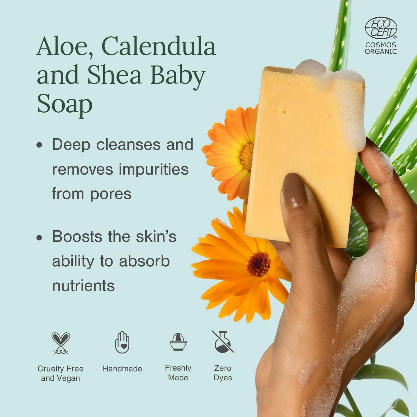 https://cdn.shopify.com/s/files/1/1857/6931/files/OHpU1la8za.png?v=1752146094