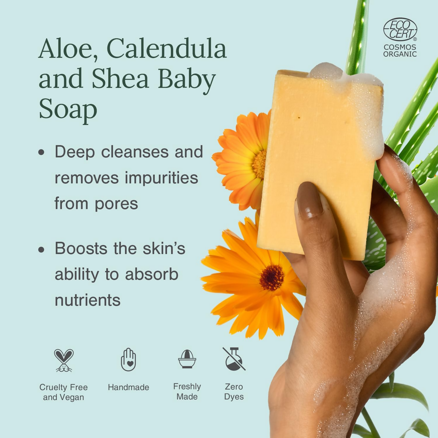 https://cdn.shopify.com/s/files/1/1857/6931/files/OHpU1la8za.png?v=1752146094