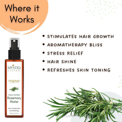 https://cdn.shopify.com/s/files/1/1857/6931/files/OIWuTX7rzb.jpg?v=1723469152