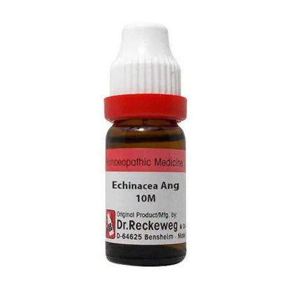https://cdn.shopify.com/s/files/1/1857/6931/products/OL1FSqSGLm.jpg?v=1661146858