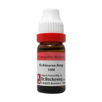https://cdn.shopify.com/s/files/1/1857/6931/products/OL1FSqSGLm.jpg?v=1661146858
