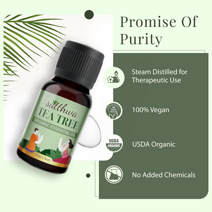 https://cdn.shopify.com/s/files/1/1857/6931/files/OMRGuxil9K.png?v=1728279030